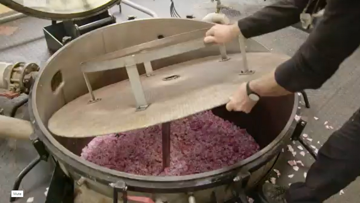 Khi hoa hồng được thu hoạch, dầu của chúng phải được chiết xuất nhanh chóng, trước khi hoa bắt đầu lên men.