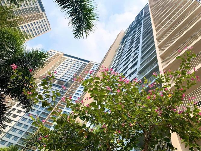 Agrikim Import And Export Joint Stock Company